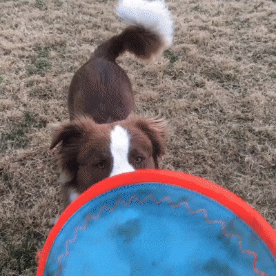 Да как так-то?