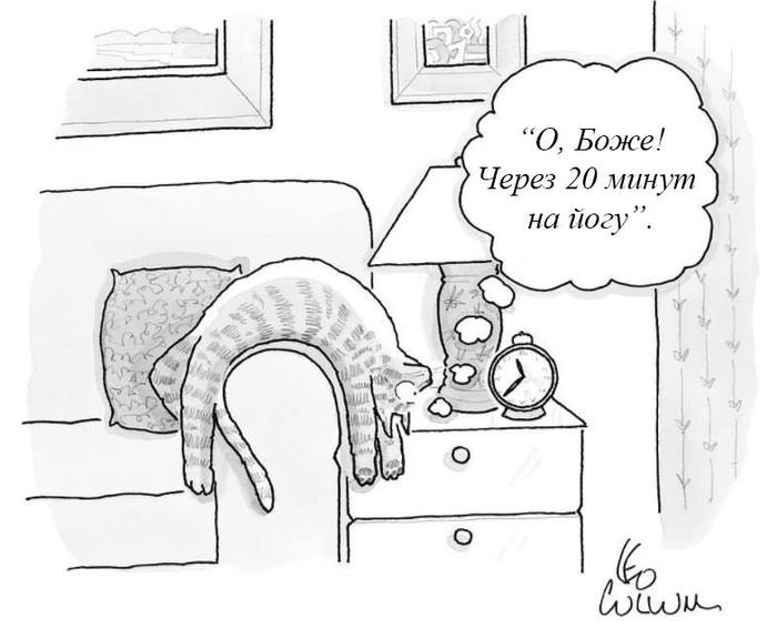 Kitty has a busy schedule - cat, Yoga, , The new yorker, New Yorker Magazine, Comics