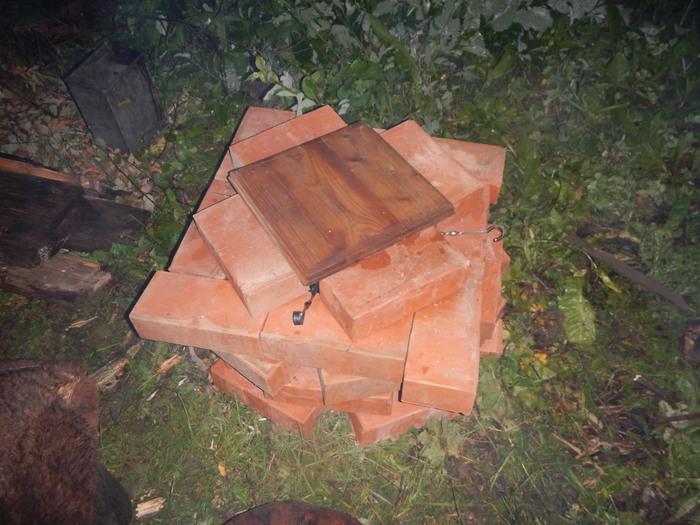    ... BBQ, ,  , , , 