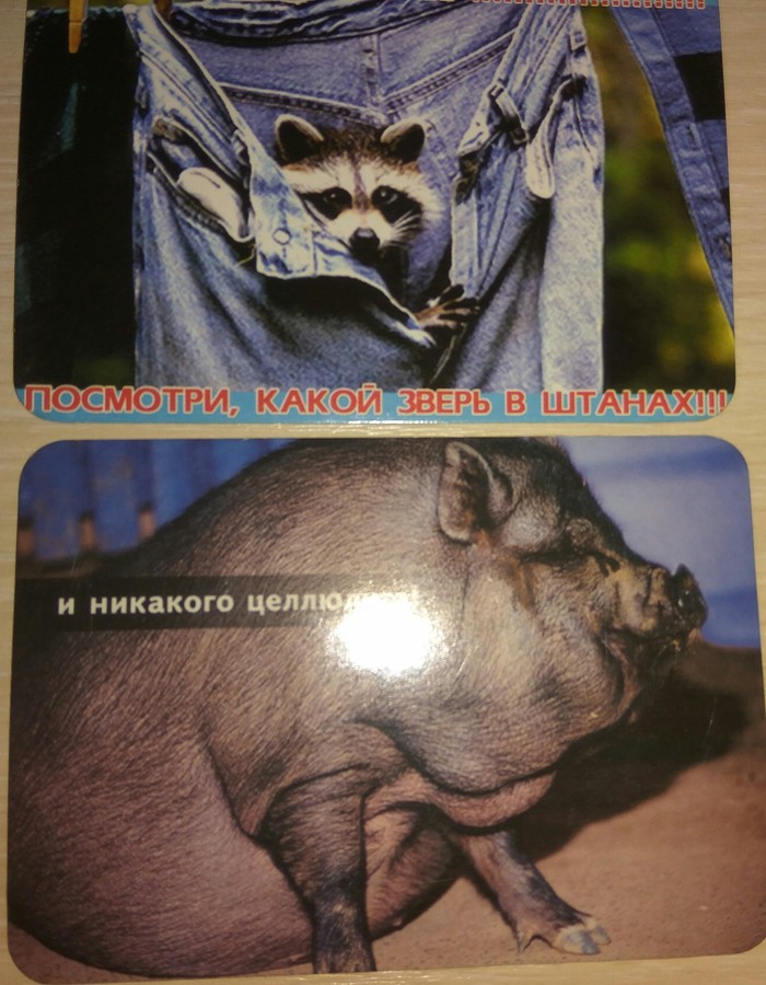 Мемы 2002-а в на Украине чечены дали пизды депутату рады Найему, сломали челюсть, ииииии - домашний арест. Вот, демократия!!!!!!!! - Моё, Капец, Найем, Длиннопост