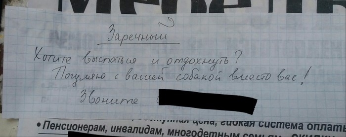 Правильный маркетинг. - Моё, Объявление, Собаки и люди, Маркетинг, Реклама