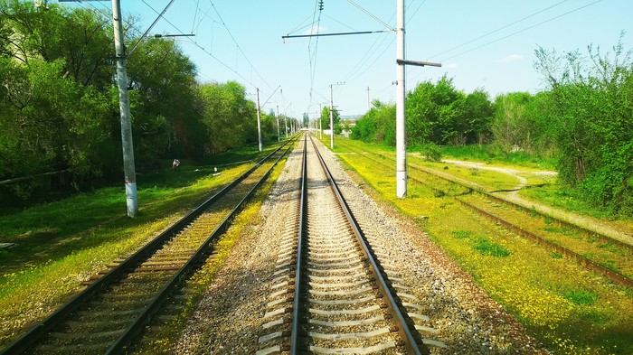 Yellow track (iron) - Russian Railways, My, Spring, Flowers, The photo