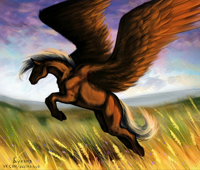 steppe pegasus - My, Pegasus, Horses, Field, Animals, Fantasy, Drawing, Digital drawing, Spikelet