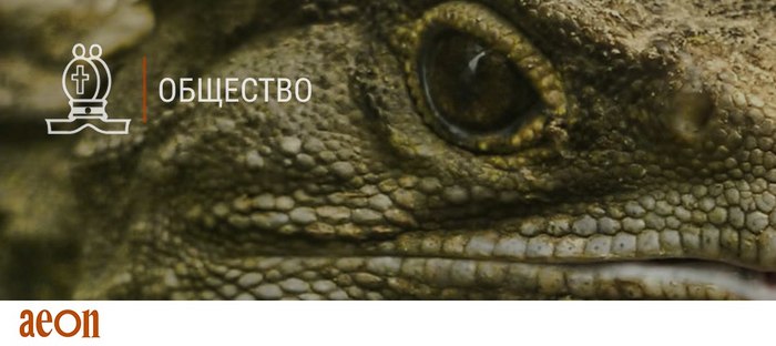 Do you want to stand out? Believe in reptilians - Translation, Voice acting, Psychology, Теория заговора, Longpost, 