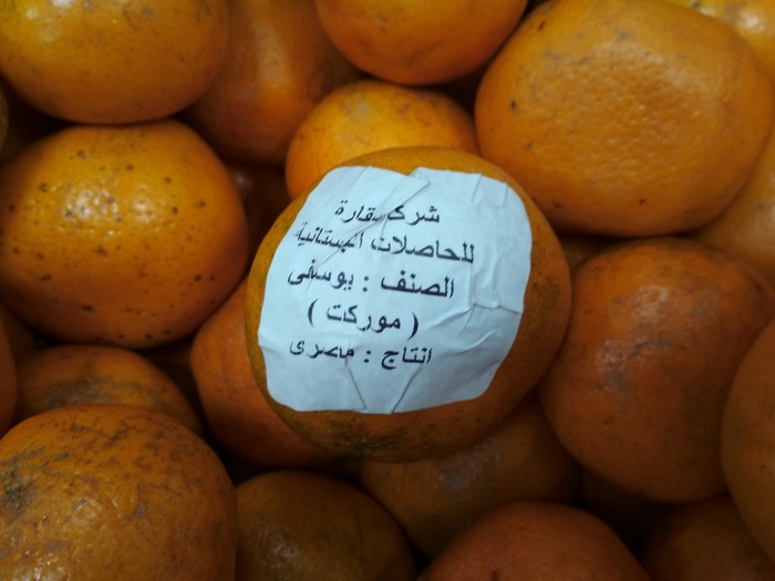 Taliban mandarin. - My, Tangerines, Terrorism, Unclear