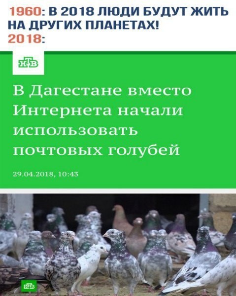 Главное что б работало ))) - Дагестан, Интернет, Голубиная почта, Нанотехнологии, Смекалка, Прогресс, Технический прогресс