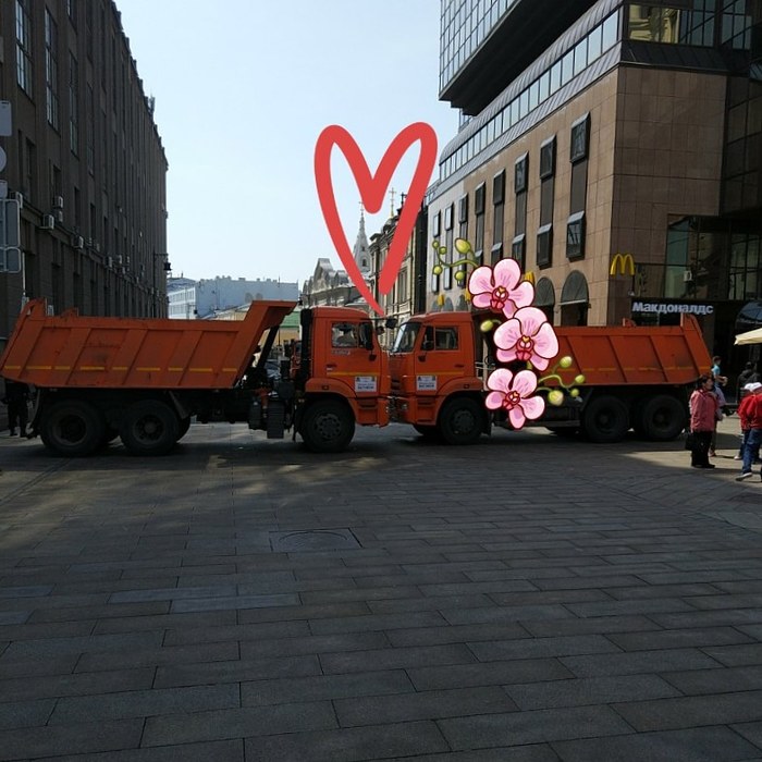 Мирмурмай