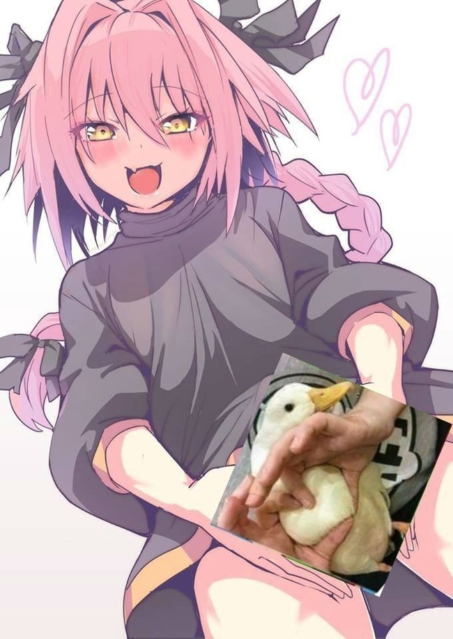 Trick? - Its a trap!, Trapom, Dank memes, Astolfo, Fate apocrypha