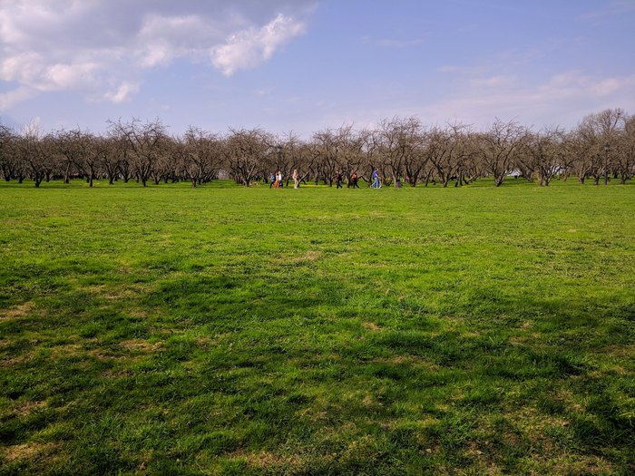 Walk in Kolomenskoye - My, Spring, Kolomenskoe, Mobile photography, Moscow, , Longpost