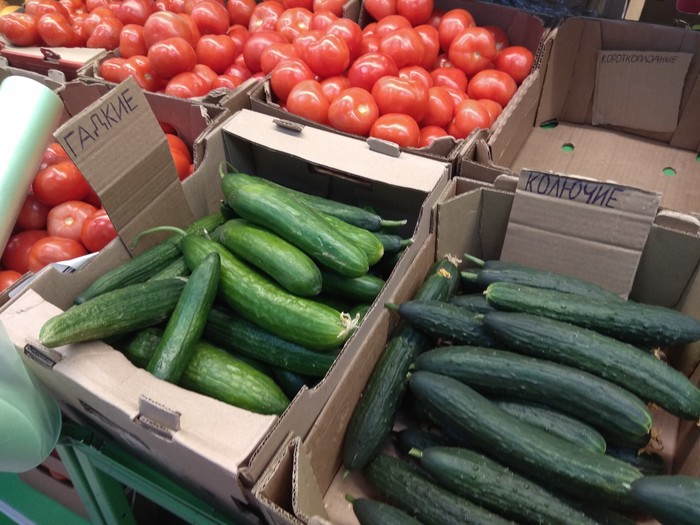 So-so cucumbers, apparently - My, Price tag, Pyaterochka, Cucumbers