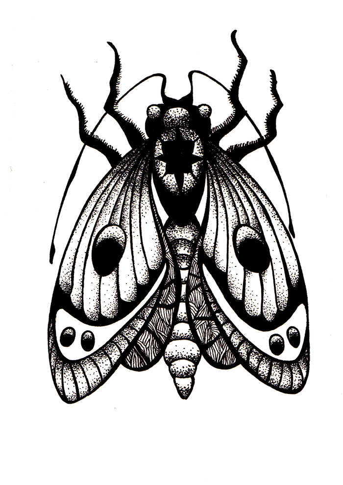 Butterfly, for example - Tattoo, Sketch, My, Art, Drawing