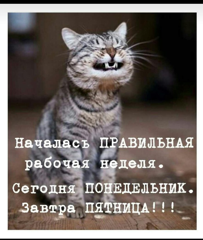 Правильная рабочая неделя