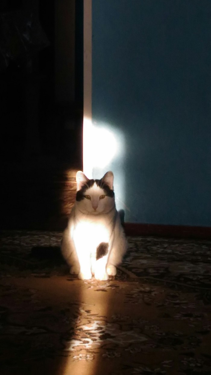 ��� ��������� �������