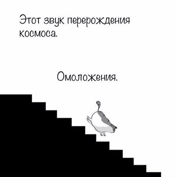 Часть молодой вселенной - Кот, Вселенная, Длиннопост, The Oatmeal, Комиксы