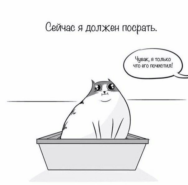 Часть молодой вселенной - Кот, Вселенная, Длиннопост, The Oatmeal, Комиксы