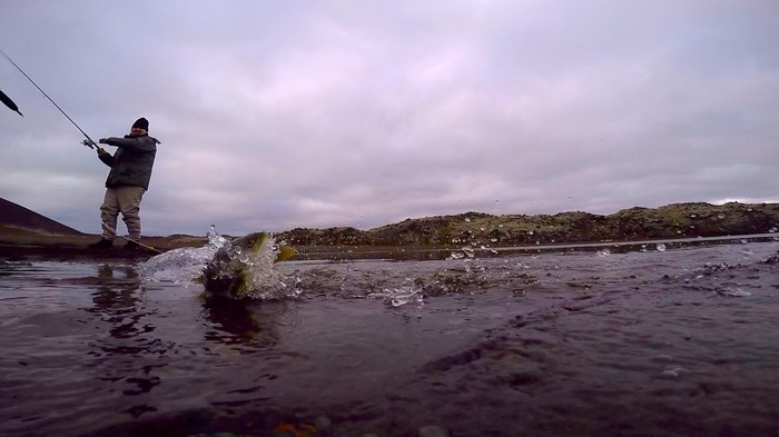 Fishing in Iceland - My, , Fishing, Spring Fishing, Longpost