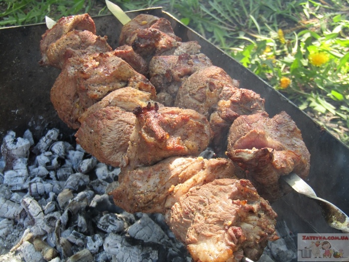 Shish kebab marinated in red wine - My, Recipe, Video recipe, Shashlik, , Marinade, Brazier, Video