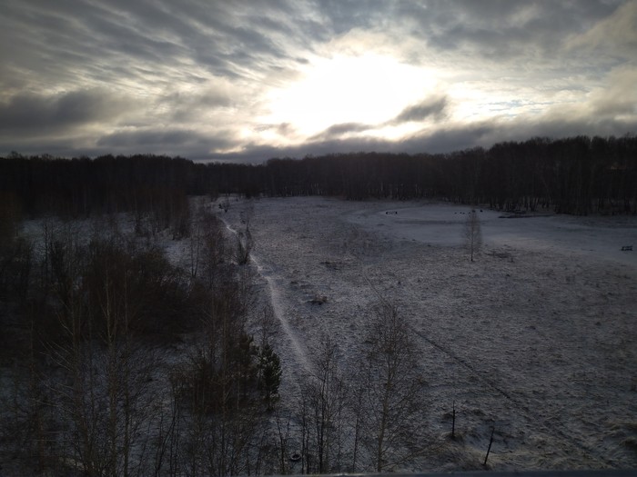 ���� ������