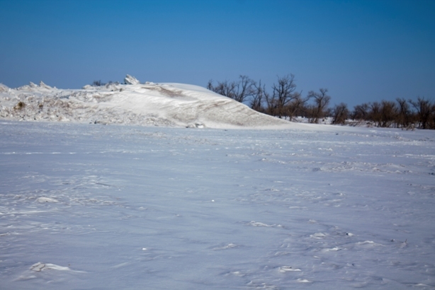 Hummocks of Lake Khanka, Primorsky Krai, Russia. - My, Khanka, Primorsky Krai, Russia, Nature, beauty, Longpost