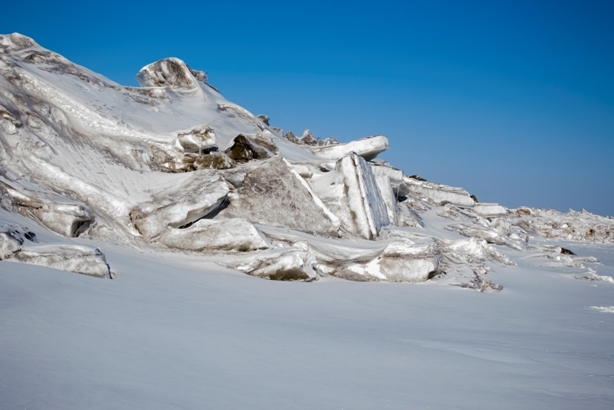 Hummocks of Lake Khanka, Primorsky Krai, Russia. - My, Khanka, Primorsky Krai, Russia, Nature, beauty, Longpost