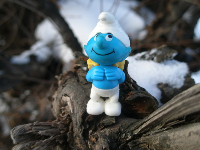 smurf - My, The smurfs, Alone in the woods, Find, Found things