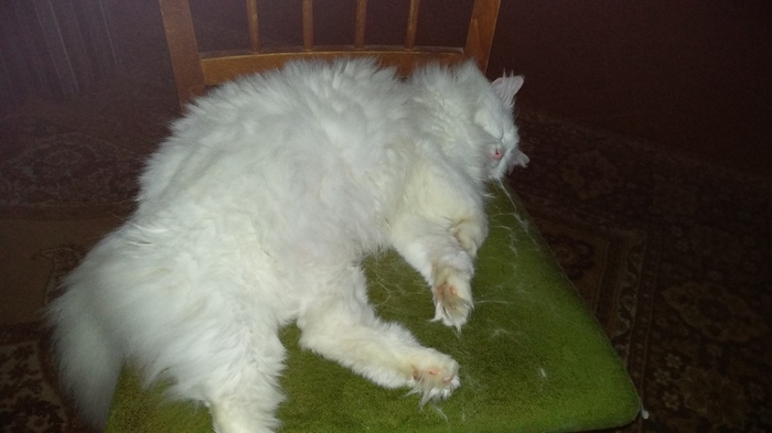 Нагнетаем положительной ауры, наддуваем карму...