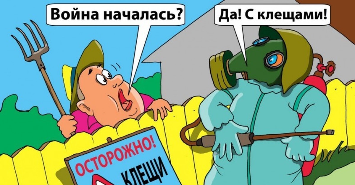 Подружки, клещ смешная картинка