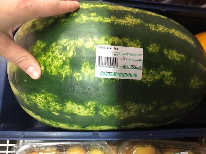 Who wants a watermelon, boys? - Prices, Watermelon, Ate, North