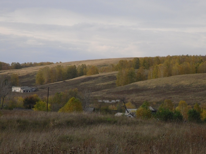 Altai Territory Kosikhinsky district with. Malakhovo. Autumn. - My, Longpost, The photo, Horses, Autumn, Altai region, Malakhovo