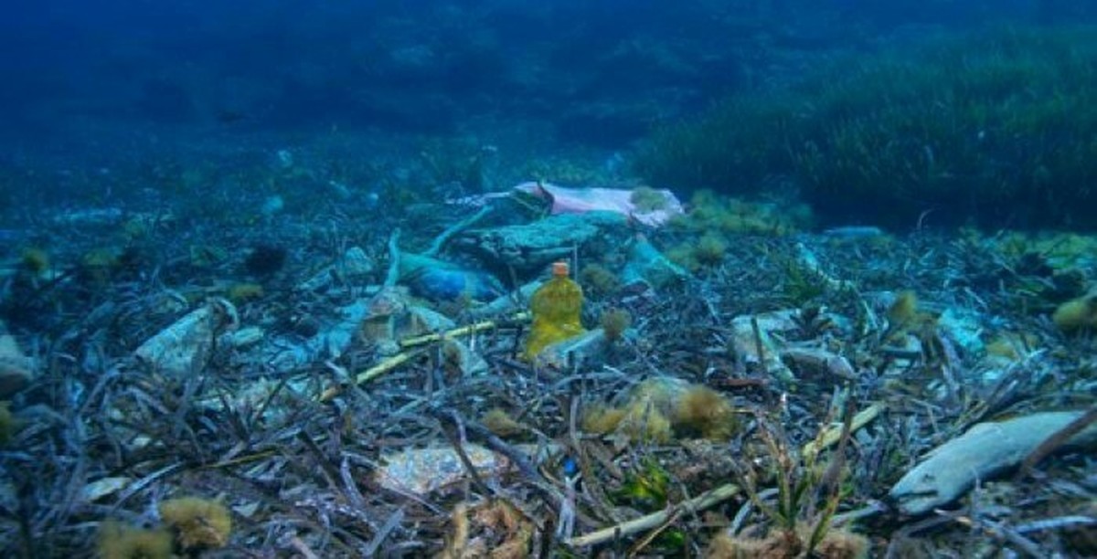 Вырастает на дне. Загрязненное дно океана. Мусор под водой. Загрязнение морского дна. Отходы на дне океана.