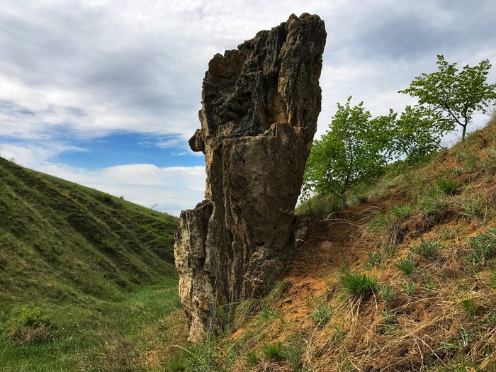 Village Archedinskaya (Volgograd region) #2 - My, Archedinskaya village, Volgograd region, River, Nature, Medveditsa River, Iphone 7 plus, Longpost