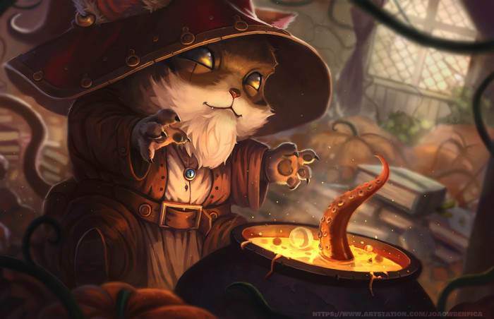 Witch cat