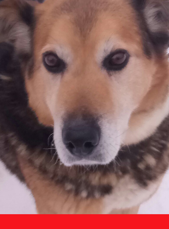 ��� ��� ������ �� ���� ������� �������.