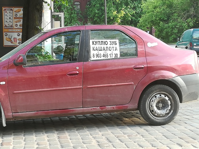 ���������, �����?