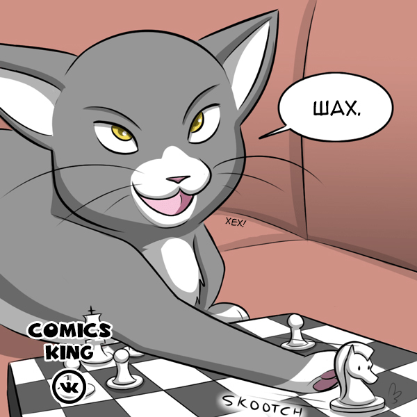 Chess - Comics, GIF with background, cat, Dog, GIF, Longpost