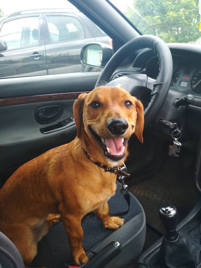 ����� �����