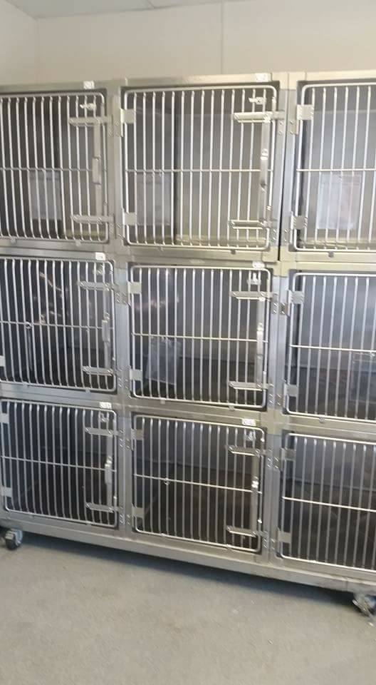 That was the last dog! The shelter published a photo with empty cages - ALL the animals were taken apart !!! - Animals, Happiness, The photo, Milota, Tears, Story, People, Longpost