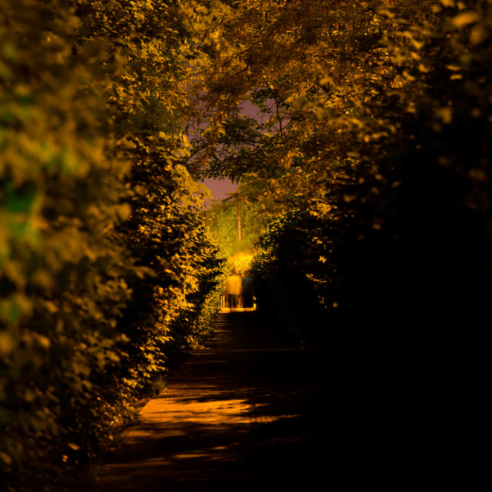 We're just a silhouette in the path of life - My, Silhouette, Night, People, The photo, Path, Road
