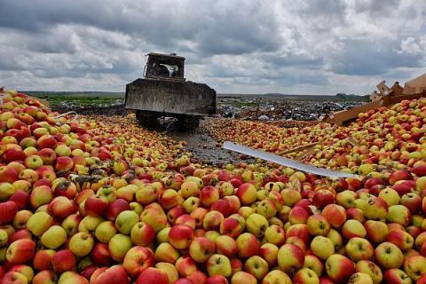 Another 3800 kg of apples were destroyed. Hooray!!! Hooray!!! Hooray!!! - Apples, news