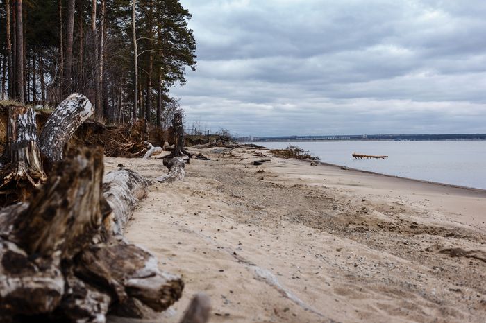 Ob sea - My, Beginning photographer, Ob Reservoir, Landscape, Canon, Ob sea, Nature, Longpost