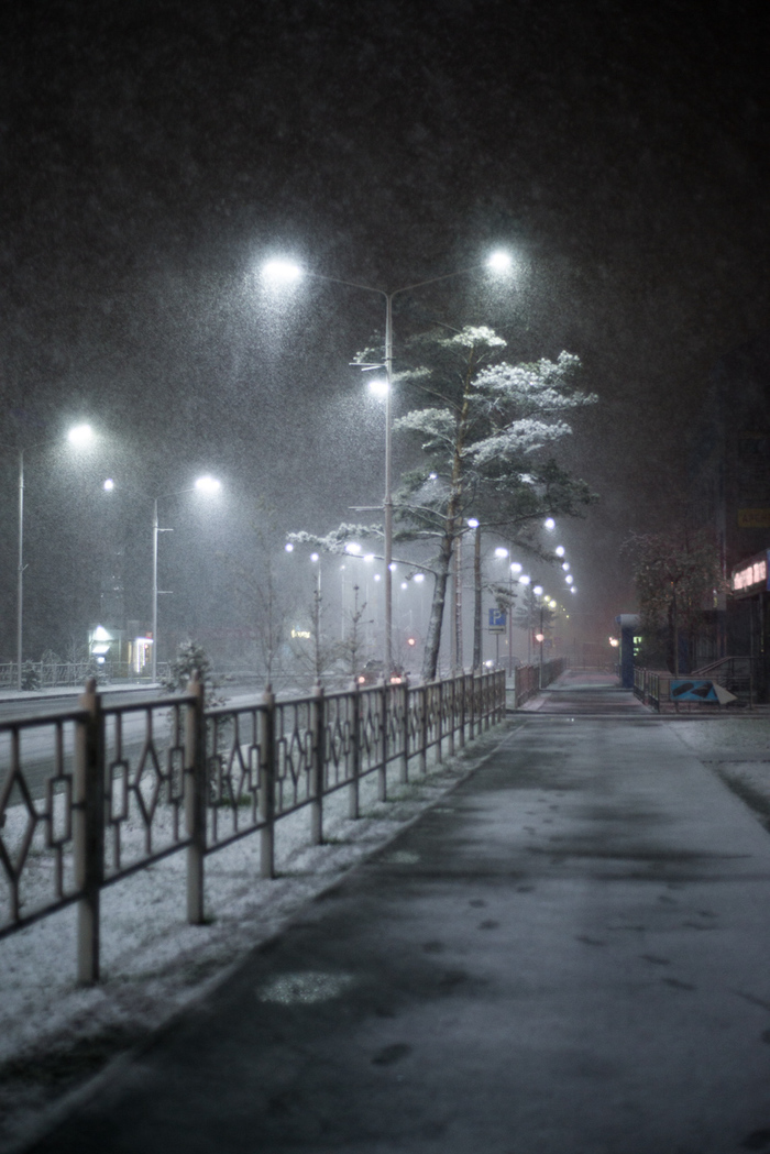 May, Siberia. - My, Snowfall, Novosibirsk, Global warming, Spring, Weather, Snow, Video, Longpost