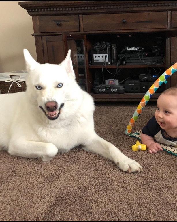 The dog sneezed during the picture - Dog, Children, The photo, Sneeze