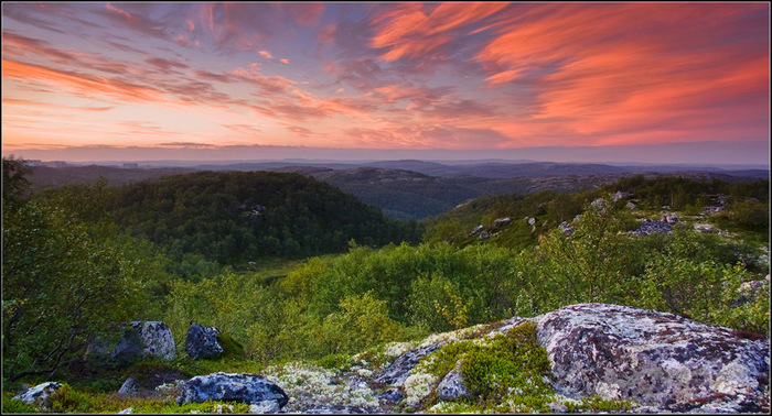Мой сын пойдет служить в армию? Сын, Армия, Дедовщина, Длиннопост