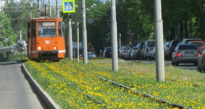 Smolensk trams. - My, Smolensk, Tram