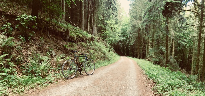 Bicycle from what was. - My, A bike, Homemade, Forest, The photo