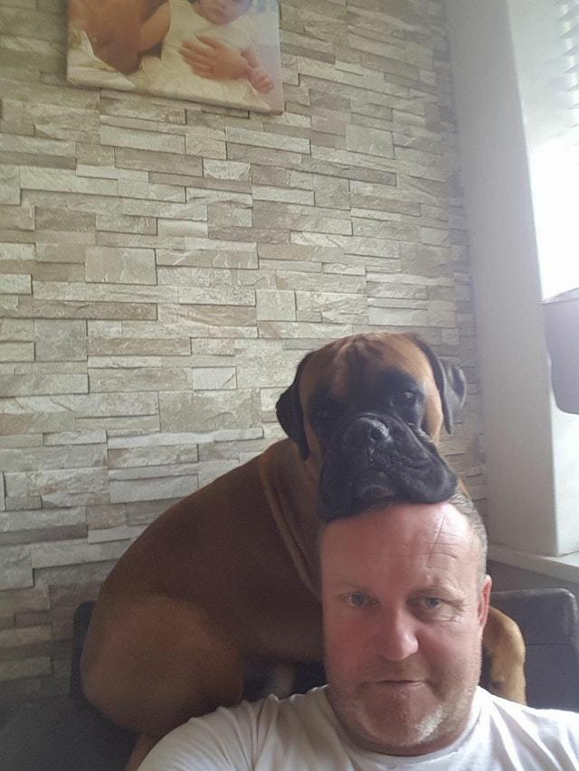 My dad just figured out how to use the front camera. This is the first photo he sent me. - Selfie, Father, Dog, The photo