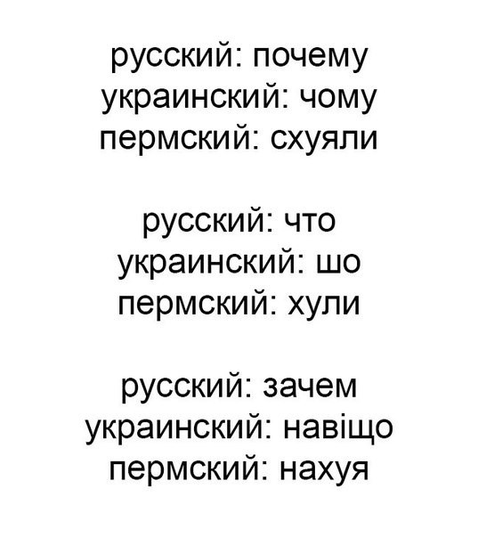 Скажи что нибудь на пермском. - Мат, Пермь, ВКонтакте, Скажи что-нибудь, Тег