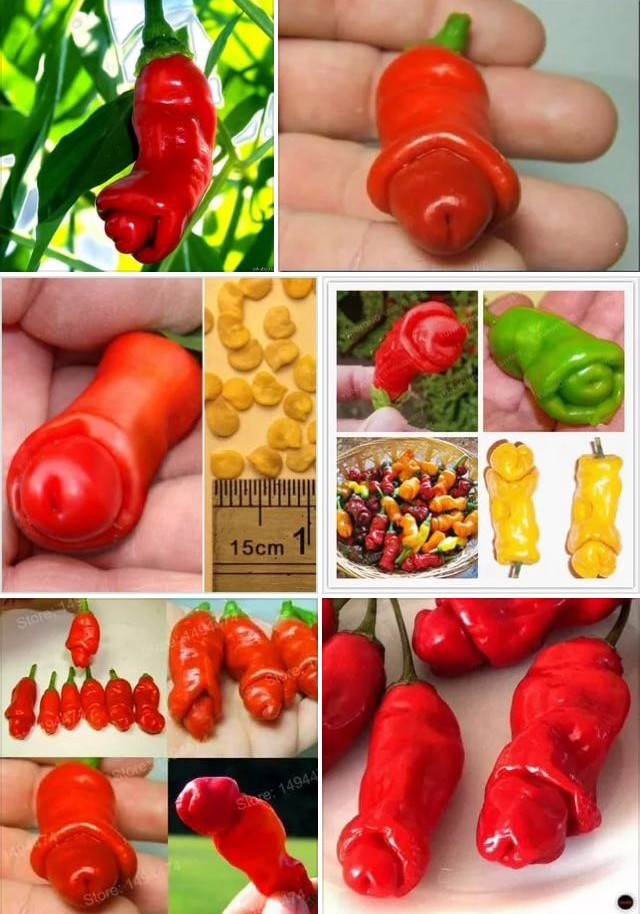 ����� ��� ����� ���������� ��� ��������� ������� �� ����