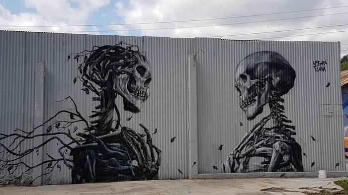 How alive - Skeleton, Street art, The photo