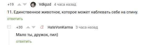 Опыт, сын ошибок трудных... - Сова, Комментарии на Пикабу, Алкоголь, Рвота